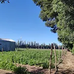 Domo Las Araucarias